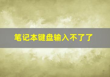 笔记本键盘输入不了了