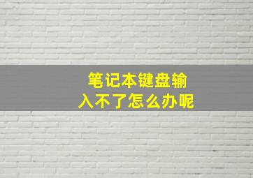 笔记本键盘输入不了怎么办呢