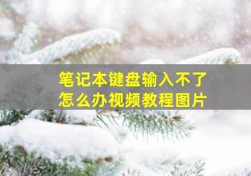 笔记本键盘输入不了怎么办视频教程图片