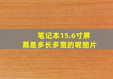 笔记本15.6寸屏幕是多长多宽的呢图片