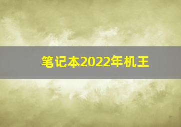 笔记本2022年机王