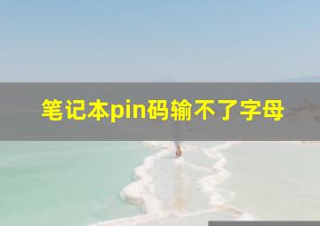 笔记本pin码输不了字母