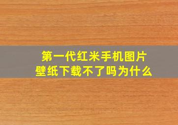 第一代红米手机图片壁纸下载不了吗为什么