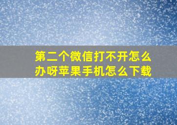 第二个微信打不开怎么办呀苹果手机怎么下载