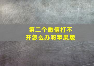 第二个微信打不开怎么办呀苹果版