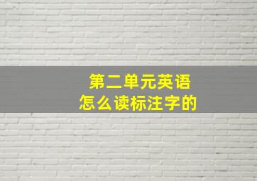 第二单元英语怎么读标注字的