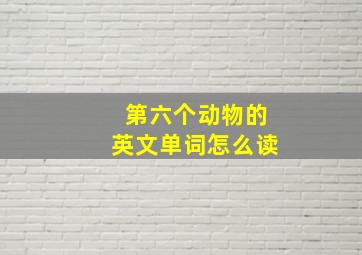 第六个动物的英文单词怎么读