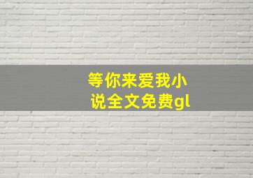 等你来爱我小说全文免费gl