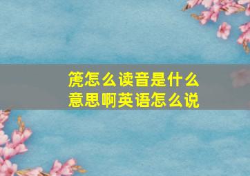 箎怎么读音是什么意思啊英语怎么说