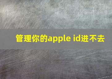 管理你的apple id进不去