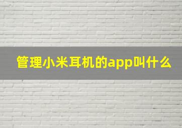 管理小米耳机的app叫什么