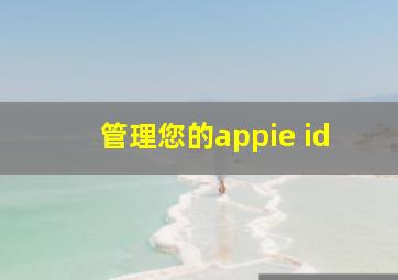 管理您的appie id