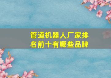 管道机器人厂家排名前十有哪些品牌