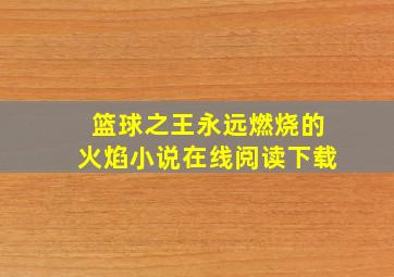 篮球之王永远燃烧的火焰小说在线阅读下载