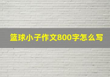 篮球小子作文800字怎么写