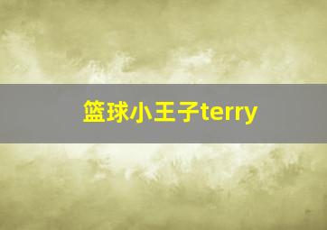 篮球小王子terry