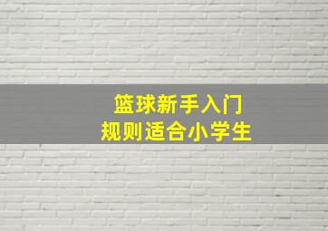 篮球新手入门规则适合小学生