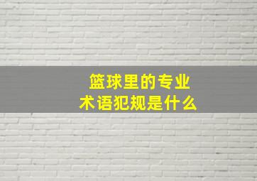 篮球里的专业术语犯规是什么