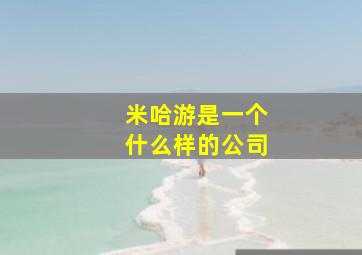 米哈游是一个什么样的公司