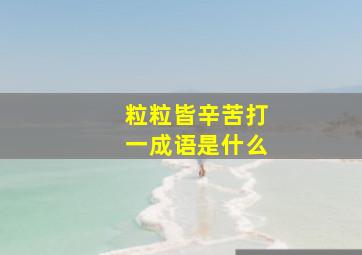 粒粒皆辛苦打一成语是什么