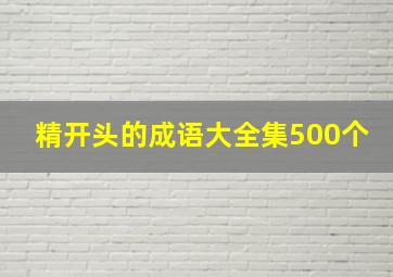 精开头的成语大全集500个