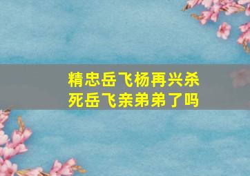 精忠岳飞杨再兴杀死岳飞亲弟弟了吗