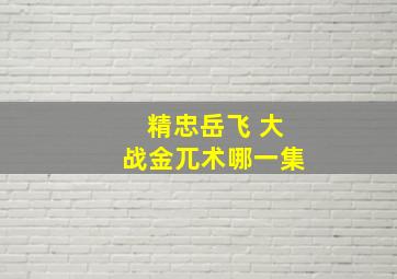 精忠岳飞 大战金兀术哪一集