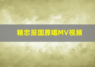 精忠报国原唱MV视频