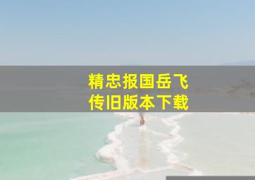 精忠报国岳飞传旧版本下载