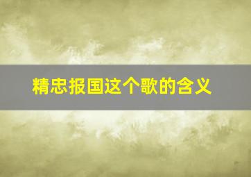 精忠报国这个歌的含义