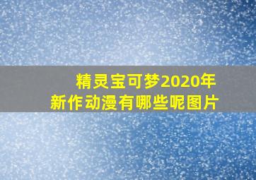 精灵宝可梦2020年新作动漫有哪些呢图片