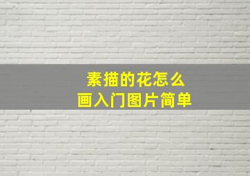 素描的花怎么画入门图片简单