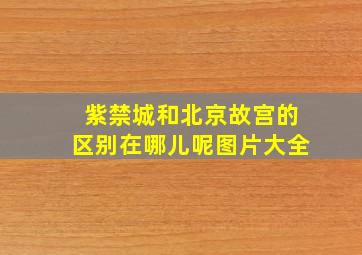 紫禁城和北京故宫的区别在哪儿呢图片大全