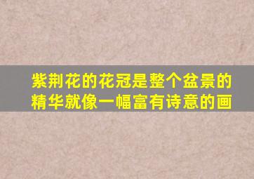 紫荆花的花冠是整个盆景的精华就像一幅富有诗意的画