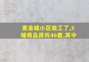 紫金城小区竣工了,5幢商品房共46套,其中