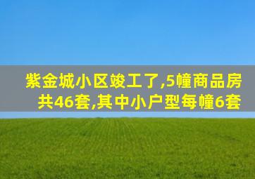 紫金城小区竣工了,5幢商品房共46套,其中小户型每幢6套