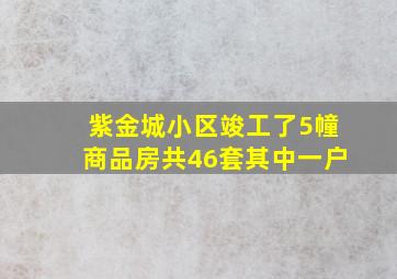 紫金城小区竣工了5幢商品房共46套其中一户