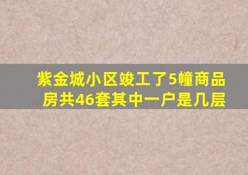 紫金城小区竣工了5幢商品房共46套其中一户是几层