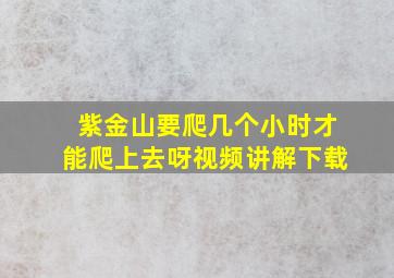 紫金山要爬几个小时才能爬上去呀视频讲解下载