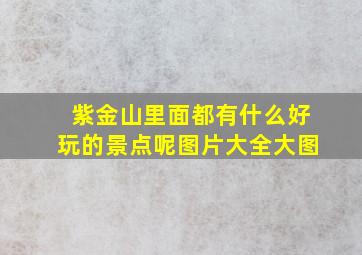 紫金山里面都有什么好玩的景点呢图片大全大图