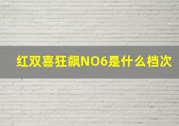 红双喜狂飙NO6是什么档次