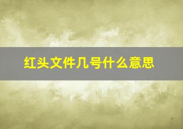 红头文件几号什么意思