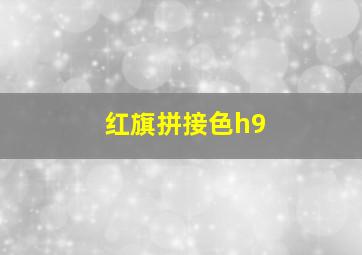 红旗拼接色h9