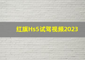 红旗Hs5试驾视频2023