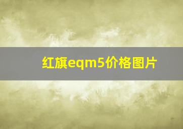 红旗eqm5价格图片