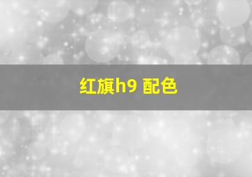 红旗h9 配色