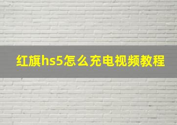 红旗hs5怎么充电视频教程