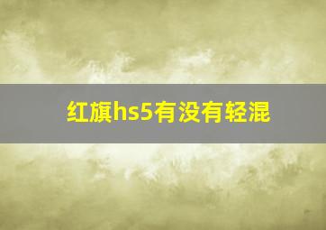 红旗hs5有没有轻混