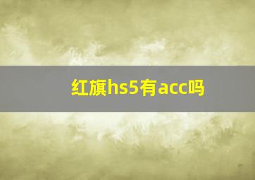 红旗hs5有acc吗