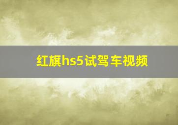 红旗hs5试驾车视频